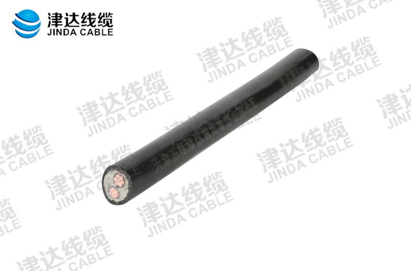 YJV 交聯(lián)聚乙烯絕緣聚氯乙烯護套電力電纜 2x16㎡.jpg